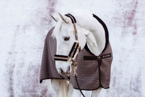 JACSON Flyinge kjølertrekk Beige 105