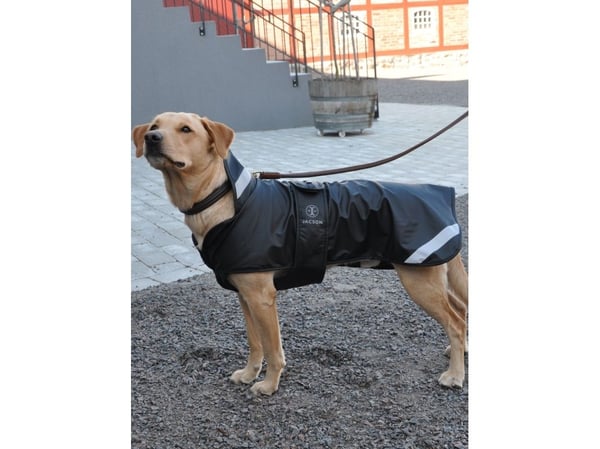 Jacson Barbro Koiran peitto Musta 20cm