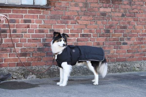 Jacson Squeaky Hundedekke Svart 25cm 25cm