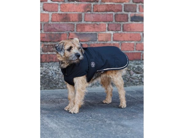 Jacson Rakel Hundedekke Svart 50cm 50cm