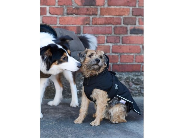 Jacson Rakel Hundedekke Svart 55cm 55cm
