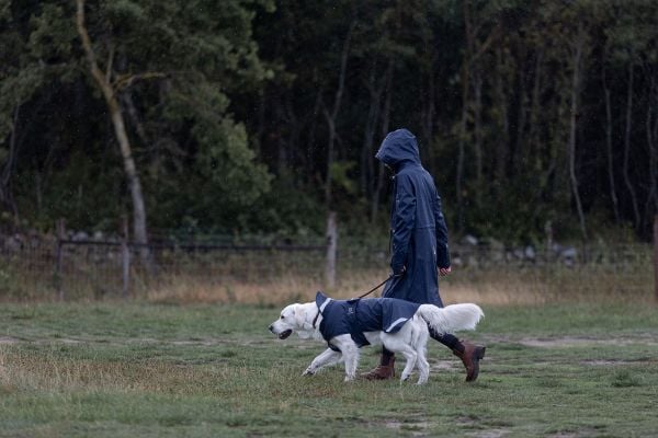 JACSON Hundefrakk Pippi mørk marineblå 20