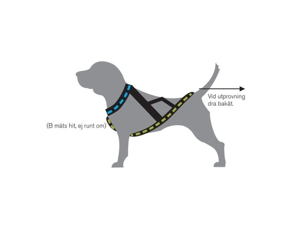 Kennel Equip Nome Active Hundsele Svart Xxl