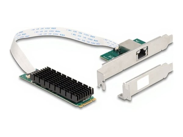 Delock - Nettverksadapter - M.2 2280 (B+M Key) lav profil - 100M/1G/2.5G/5G/10 Gigabit Ethernet