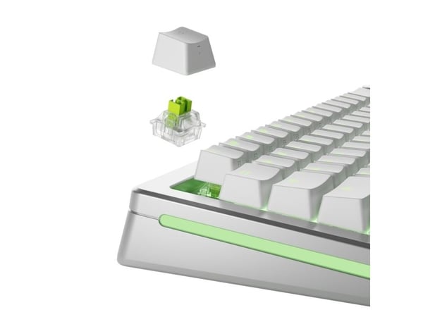 Glorious Gaming GLO-KB-ACC-SWT-RAPTOR-HE-36, Tastaturbrytere, Polykarbonat (PC), Lysegrønn, Translucent