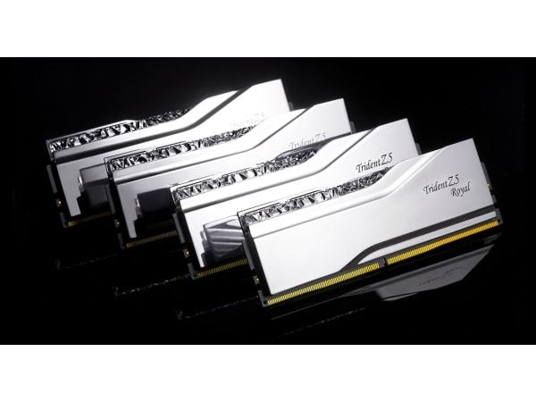 G.Skill Trident Z5 Royal F5-8000J3848F24GX2-TR5S, 48 GB, 2 x 24 GB, DDR5