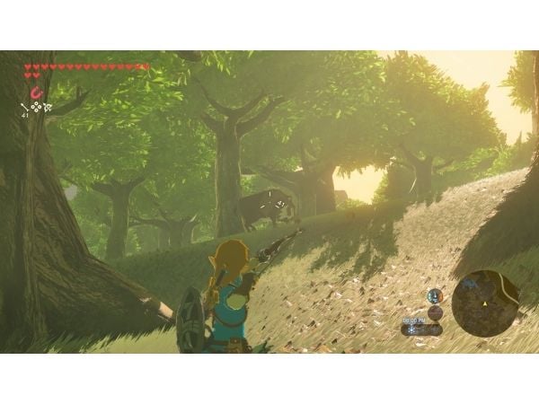 Nintendo The Legend of Zelda: Breath of the Wild (NS2)