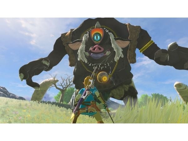 Nintendo The Legend of Zelda: Breath of the Wild (NS2)