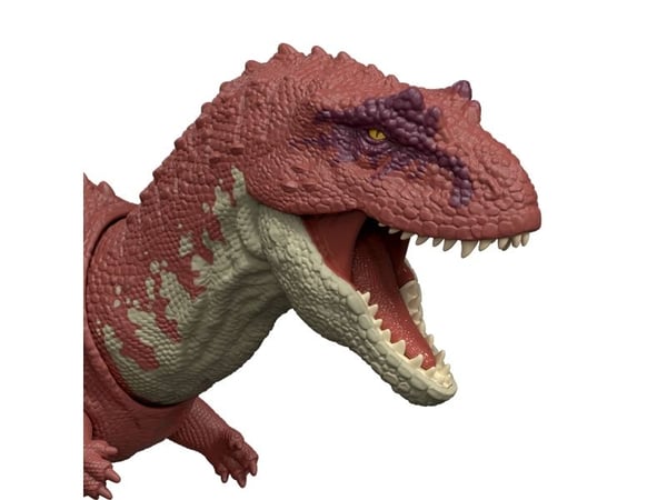 Jurassic World WILD ROAR Aucasaurus, 4 år, Grå, Rød, Plast