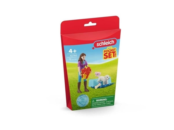 Schleich Pocket Set Birthday party with Lisa