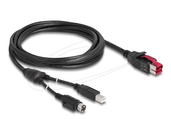 Delock - Vahvistettu USB-kaapeli - USB PlusPower (24 V) (uros) - USB Type B, Power mini-DIN (uros) - 24 V - 3 m - musta - musta