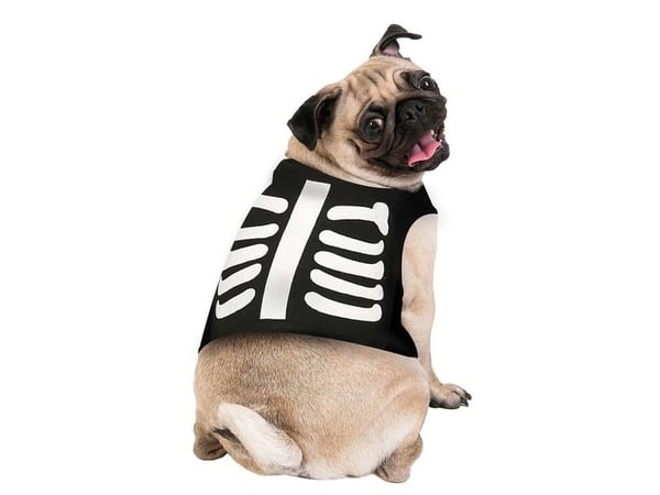 Skelet kostume til hund
