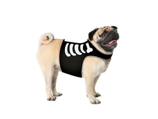 Skelet kostume til hund