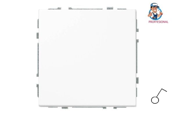 Liregus switch IJ1.10-203-01.M/WM modern vit