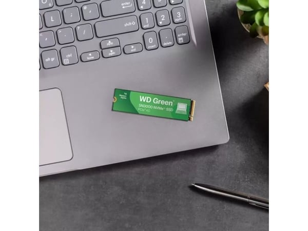 SanDisk SSD PLUS - SSD - 1 TB - intern - M.2 2280