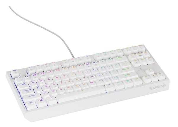 GENESIS Thor 230 TKL, Koblet med ledninger (ikke trådløs), USB, Mekanisk nøkkelbryter, QWERTY, RGB LED, Hvit