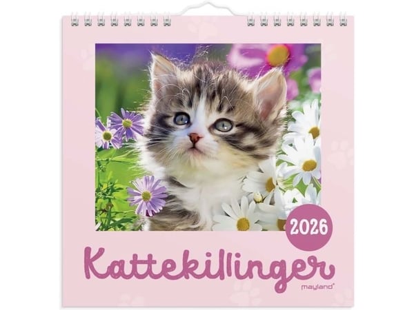 Mayland 26066400, Seinä, 24 sivua, Monivärinen, Kuukausi, 12 kuukautta, Spiraali