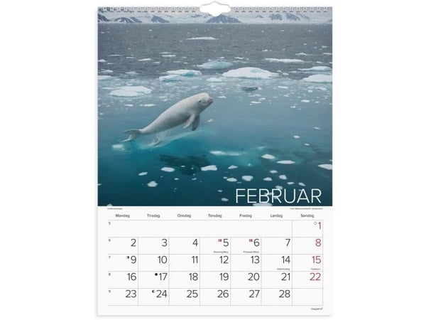 Vægkalender Verdens dyr 2026