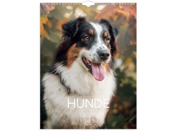 Vægkalender Hunde 2026