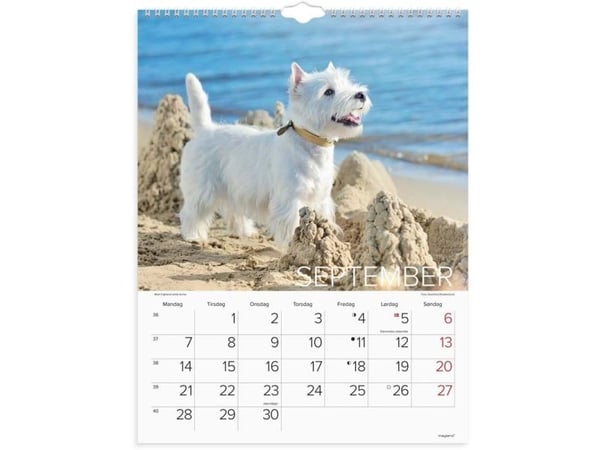 Vægkalender Hunde 2026