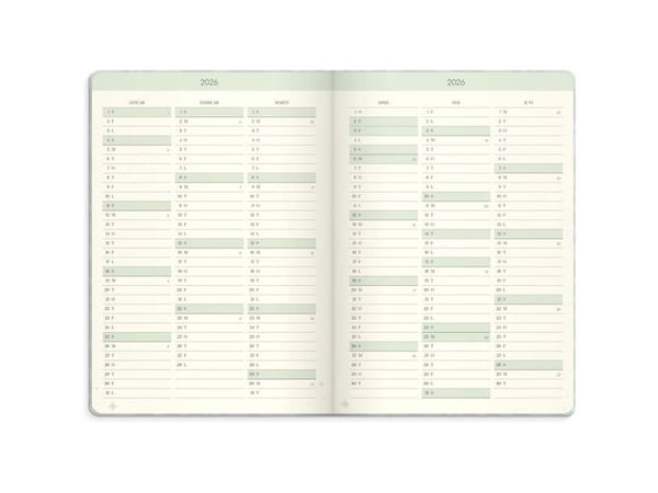 Life Planner Dream & Do 2026
