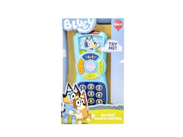 Bluey's Remote Control