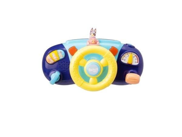 Bluey's Driver Dashboard
