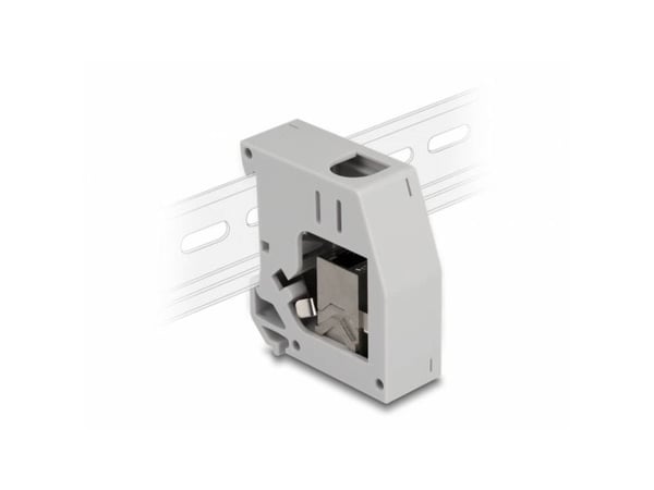 Delock - Monteringsadapter for DIN-skinne - with keystone module - CAT 6a - STP - RJ-45 - grå
