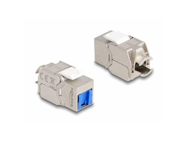 Delock - Keystone module - RJ-45 (hunn) til LSA (hunn) vinklet - STP - CAT 6a - hvit, blå, sølv