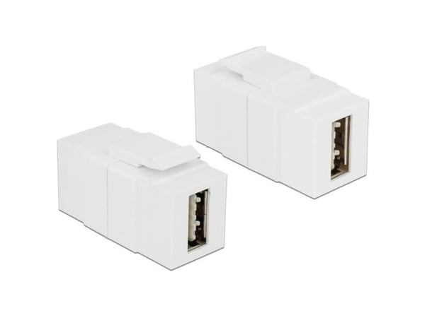 Delock - USB-adapter - USB (hunn) til USB (hunn) - USB 2.0 - reversibel A-kontakt - hvit