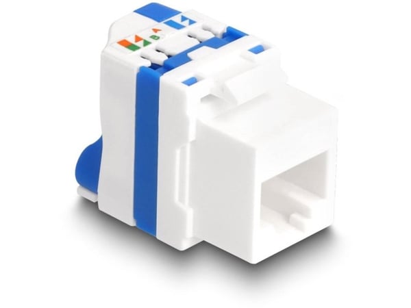Delock - Keystone module - RJ-45 (hunn) til LSA (hunn) - UTP - CAT 6a - snap-in - hvit, blå