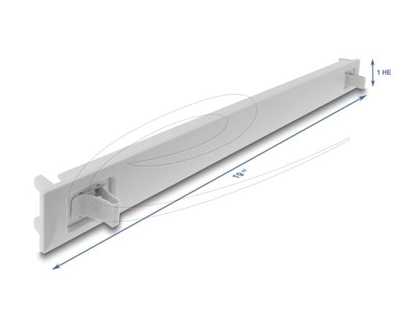 Delock - Blankeplate - gray (RAL 7035) - 1U - 19"