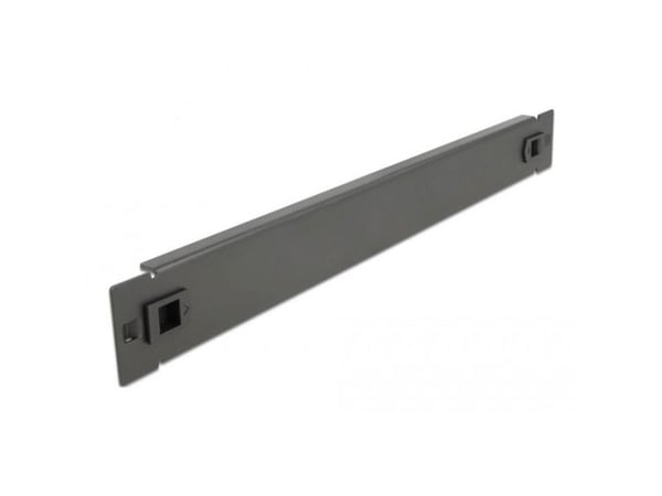Delock - Blindpanel till rack - svart - 1U - 19"