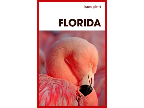 Turen går til Florida | Morten Scholz | Språk: Dansk