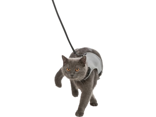 TRIXIE 41896, Katt, Vest, Nylon, Monokromatisk, 24 cm, 42 cm