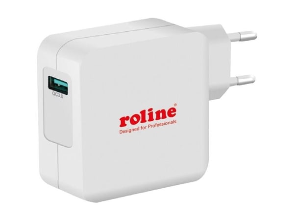 ROLINE 19111024, Sisätila, AC, 12 V, Valkoinen