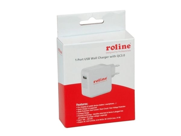 ROLINE 19111024, Sisätila, AC, 12 V, Valkoinen