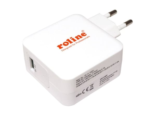ROLINE 19111024, Sisätila, AC, 12 V, Valkoinen