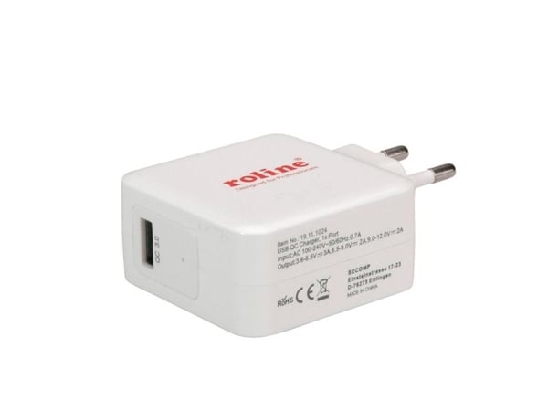 ROLINE 19111024, Sisätila, AC, 12 V, Valkoinen