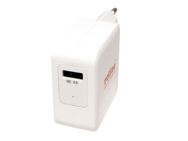 ROLINE 19111024, Sisätila, AC, 12 V, Valkoinen
