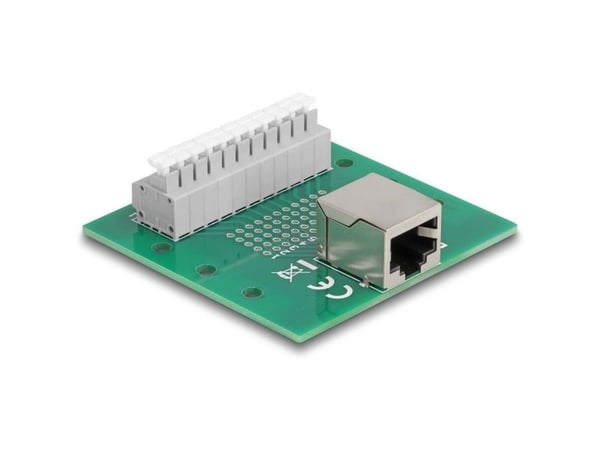 Delock - Nettverksadapter - RJ-50 (hunn) til 11-pinners terminalblokk - DIN-rail mountable, trykknapp, 3,81 mm stigning, stifttilordning: 1:1