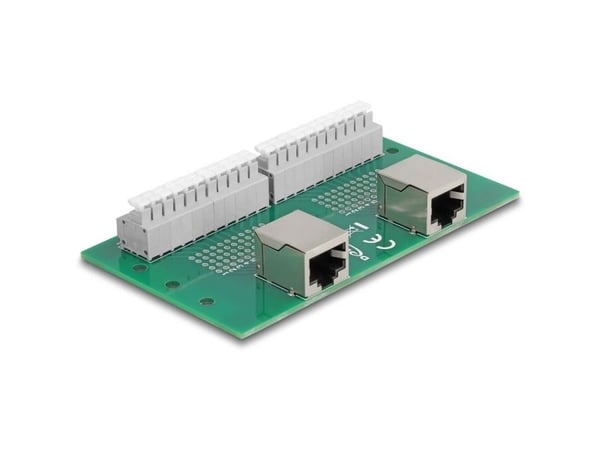 Delock - Nettverksadapter - RJ-50 (hunn) til 11-pinners terminalblokk - DIN-rail mountable, trykknapp, 3,81 mm stigning, stifttilordning: 1:1