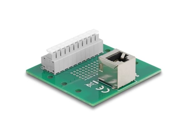 Delock - Nettverksadapter - RJ-50 (hunn) vinklet til 11-pinners terminalblokk - DIN-rail mountable, trykknapp, 3,81 mm stigning, stifttilordning: 1:1