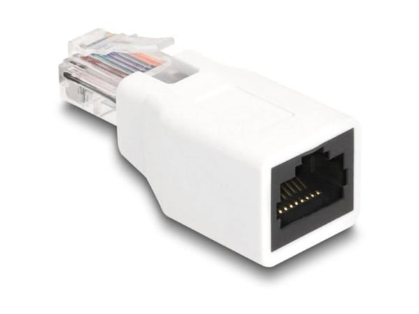 Delock RJ50-sovitin uros-naaras valkoinen