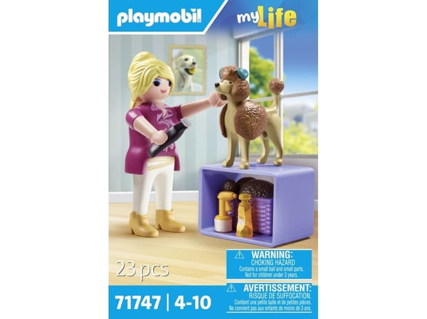 Playmobil 71747, 4 år, Flerfarget, Plast