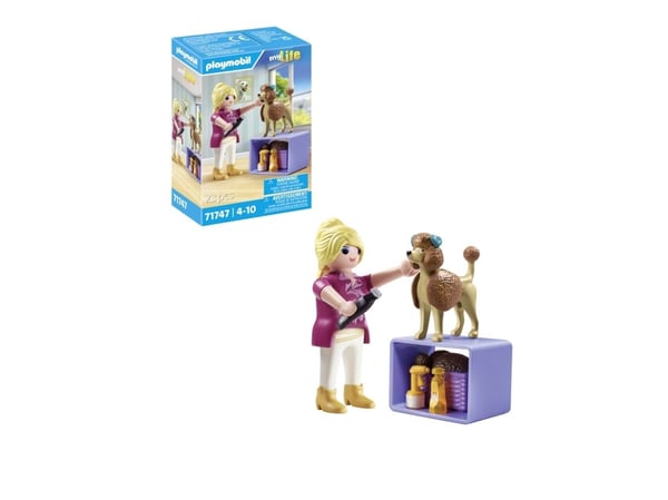 Playmobil 71747, 4 år, Flerfarget, Plast