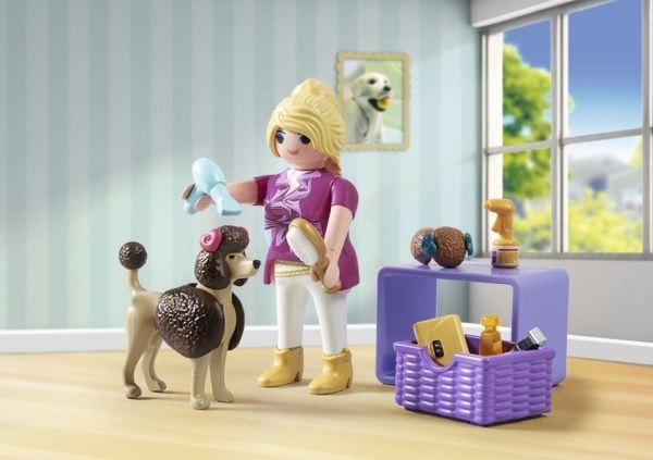 Playmobil 71747, 4 år, Flerfarget, Plast