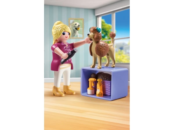 Playmobil 71747, 4 år, Flerfarget, Plast