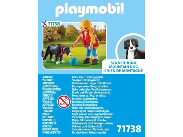 Playmobil 71738, 50,17 g
