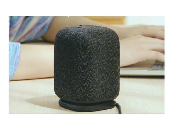 Sony SRSLS1B
